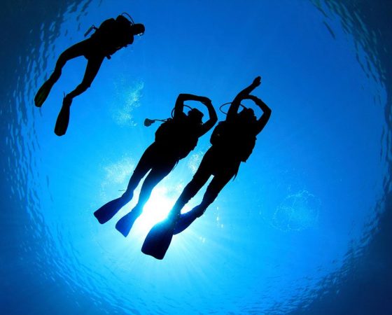 Try Scuba Diving with the Ballyholme Dive Team