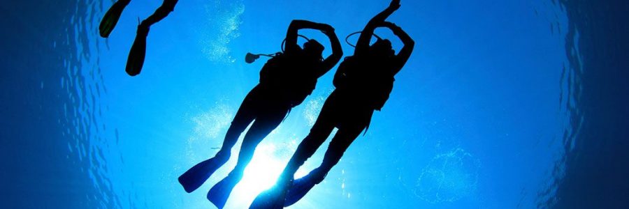 Try Scuba Diving with the Ballyholme Dive Team