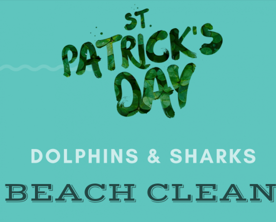 Dolphins and Sharks Beach Clean